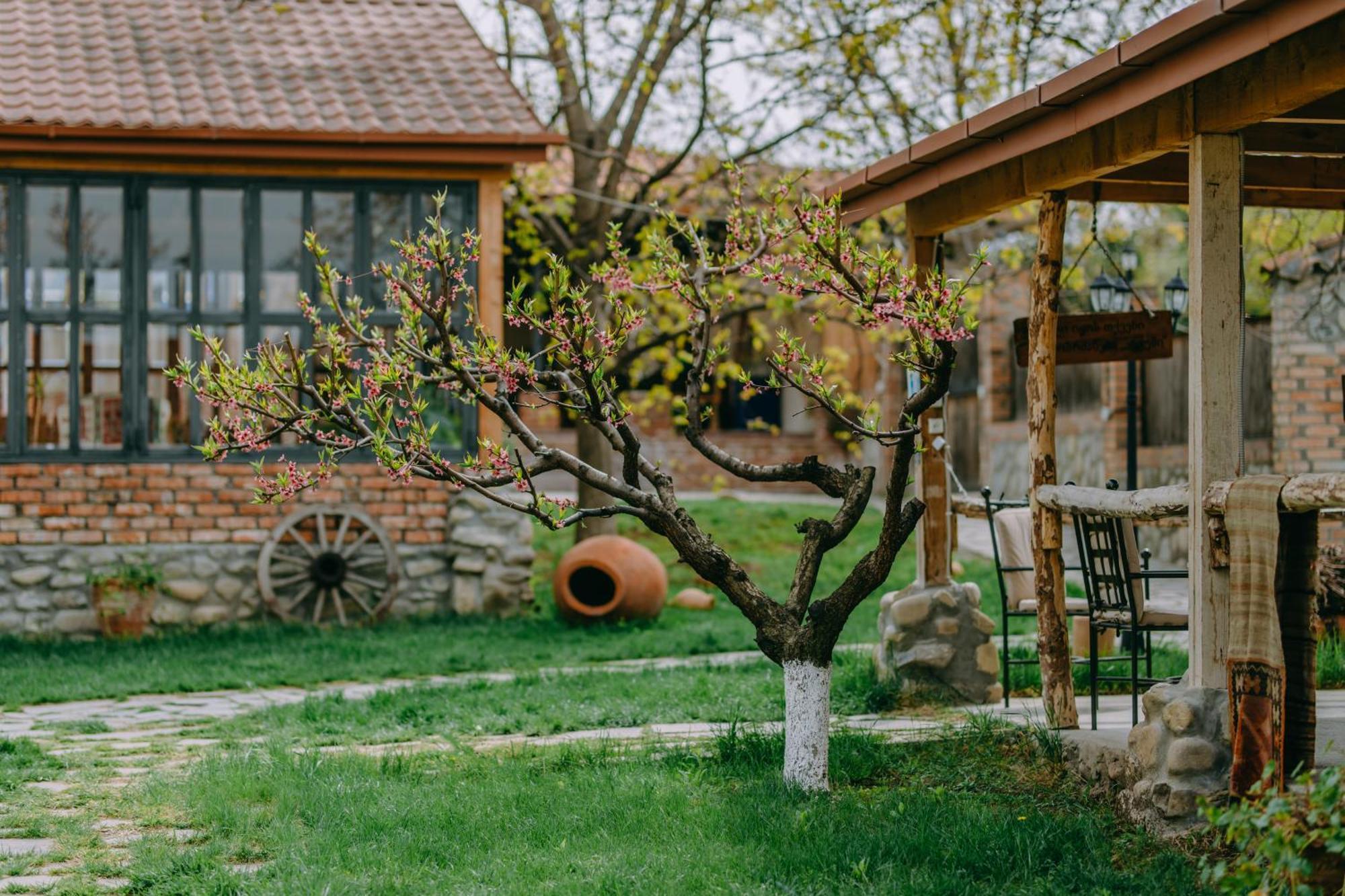 Hotel & Wine Cellar Arge Telavi Exterior foto